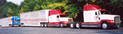 Three Hills Rodeo 2 double deck trailers