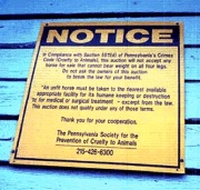 Sign posted outside 2 PA horse auctions regarding the PA Anti Cruelty Statute is incorrect! Maybe the posting of this sign has something to do with